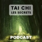 Julien Desbordes - Tai Chi Chuan, Méditation
