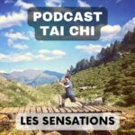 Julien Desbordes - Tai Chi Chuan, Méditation et autres Arts de libération