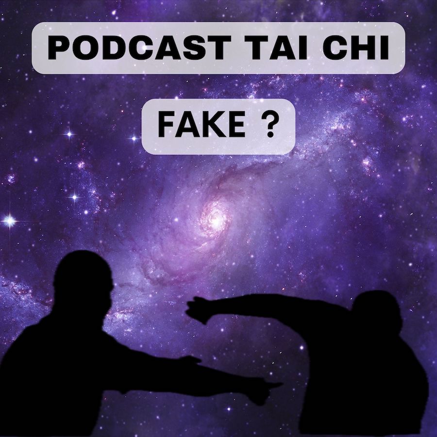 Podcast 49 - Tai Chi Fake