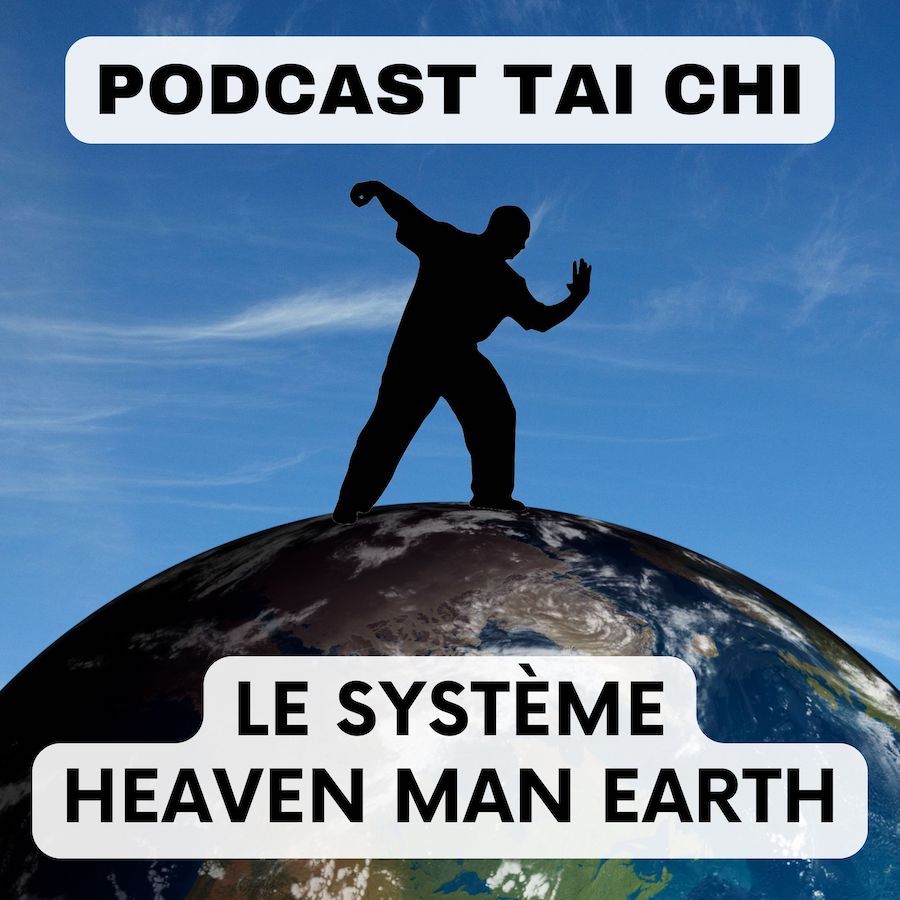 Heaven Man Earth tai chi