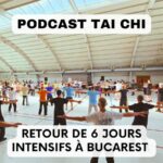 Julien Desbordes - Tai Chi Chuan, Méditation