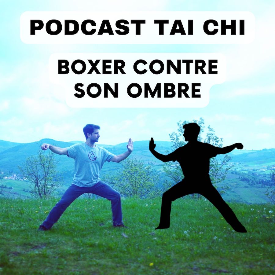 Tai Chi Chuan ou Boxer contre son ombre Tai Chi Chuan ou Boxer contre son ombre