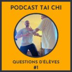 Julien Desbordes - Tai Chi Chuan Heaven Man Earth