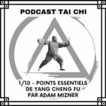 Julien Desbordes - Tai Chi Chuan Heaven Man Earth