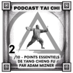 Julien Desbordes - Tai Chi Chuan Heaven Man Earth