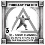 Julien Desbordes - Tai Chi Chuan Heaven Man Earth