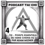 Julien Desbordes - Tai Chi Chuan Heaven Man Earth
